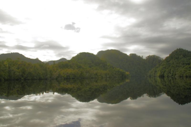 Reflection 1 - Reflections 1 Gordon River ©2009 Martin Oretsky